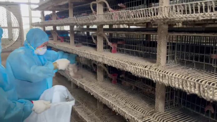 wm20250820211949583685