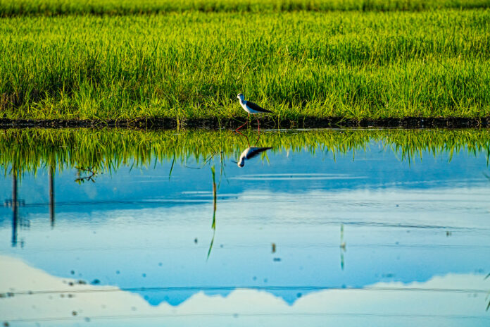 wm20250823192128287017