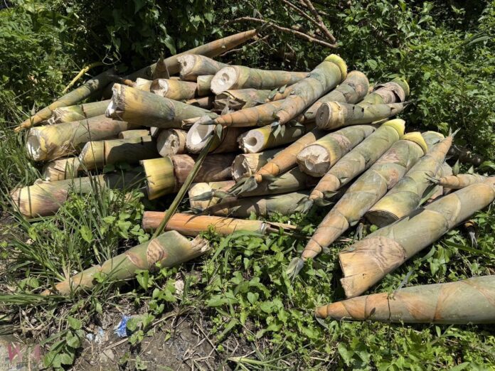 wm20250825184749790024