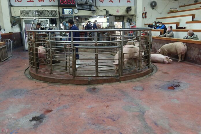 wm20250825202114962123