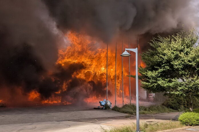 wm20250826202228791959