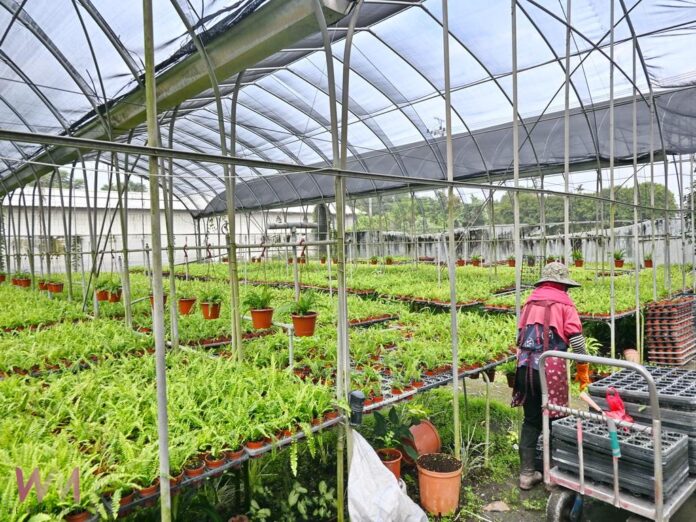 wm20250905192632059157