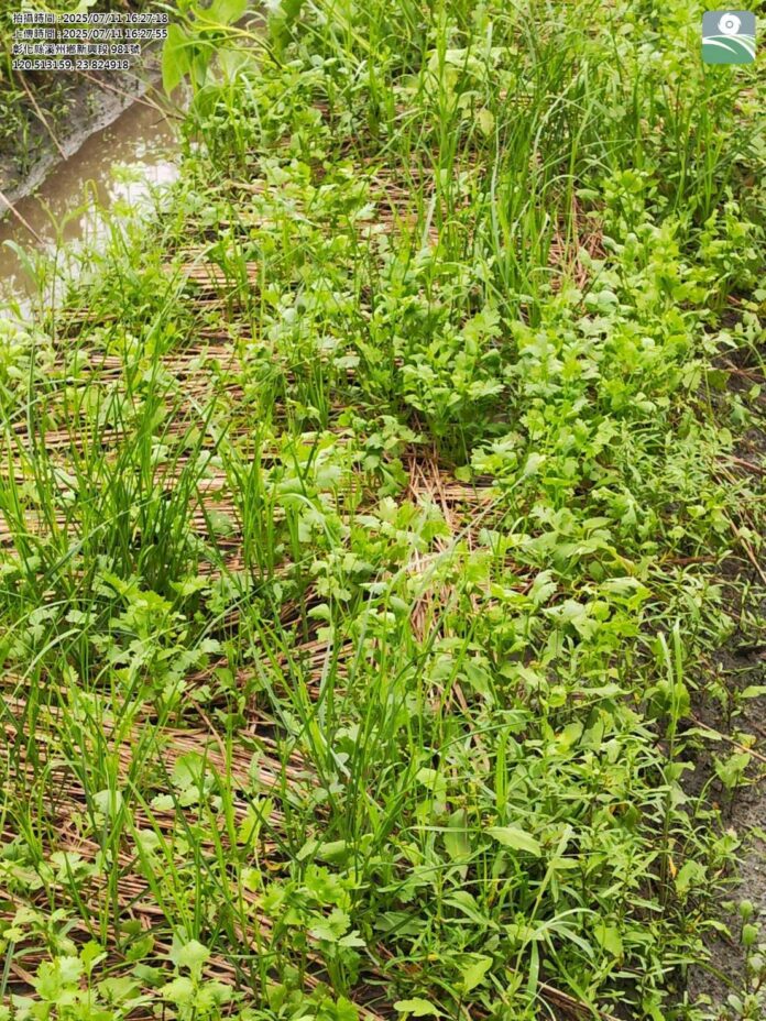 wm20250905203659193236