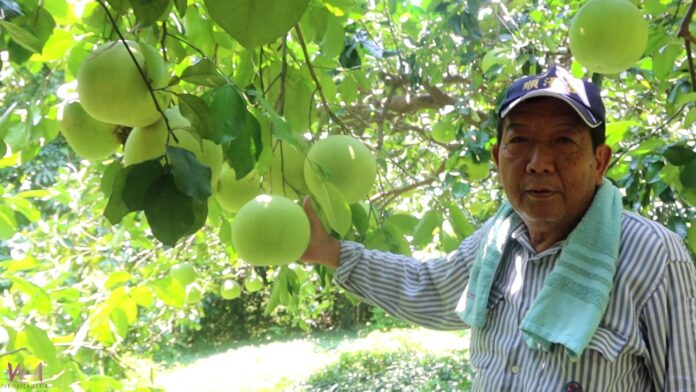 wm20250908194647420068