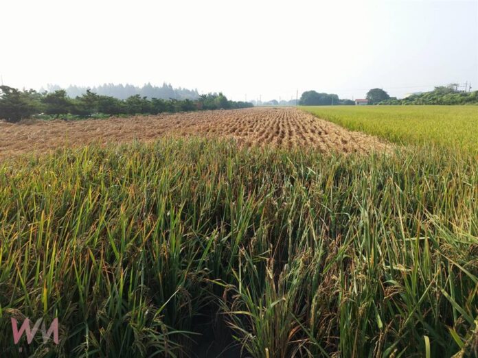 wm20250913185402042161