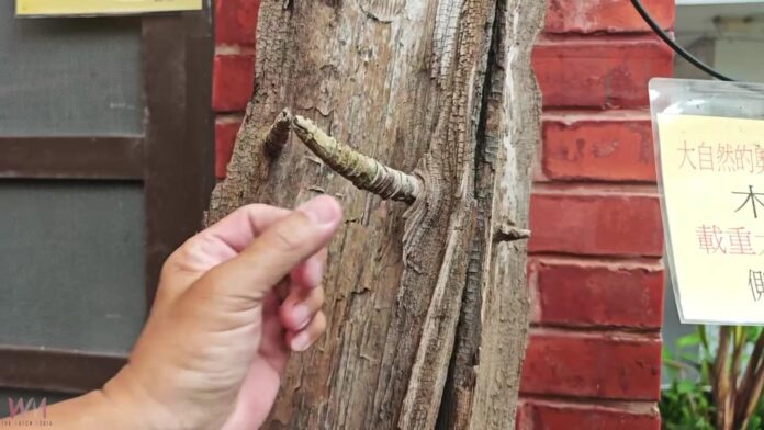 wm20250914174526702341