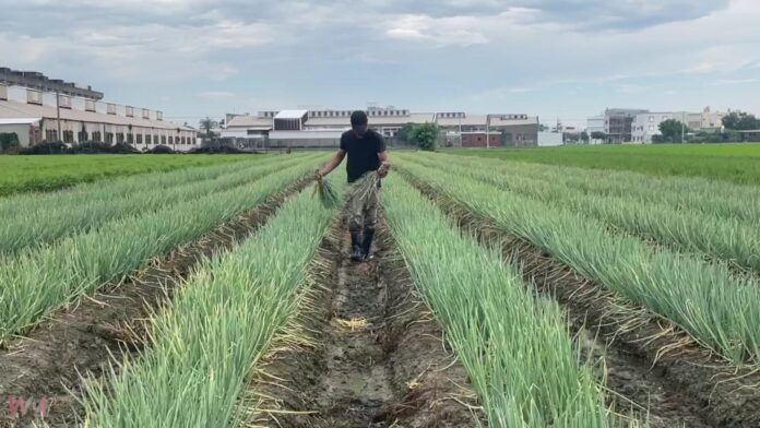 wm20250916195146294949