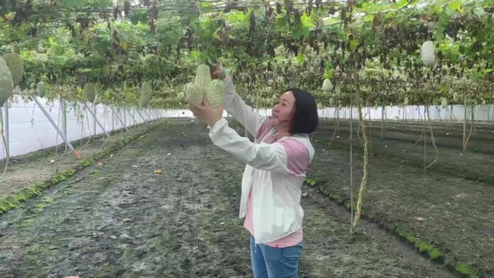 wm20250924193657647070