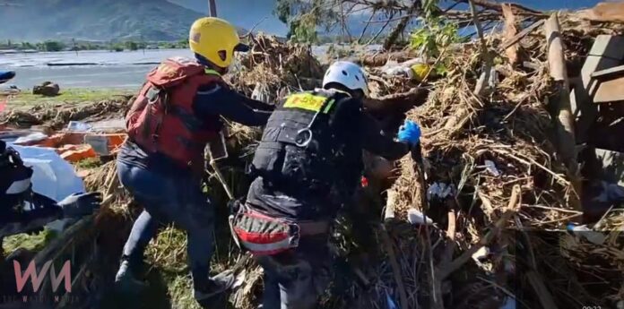 wm20250925175240396299