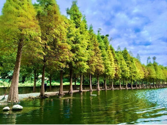 wm20250927201231036393