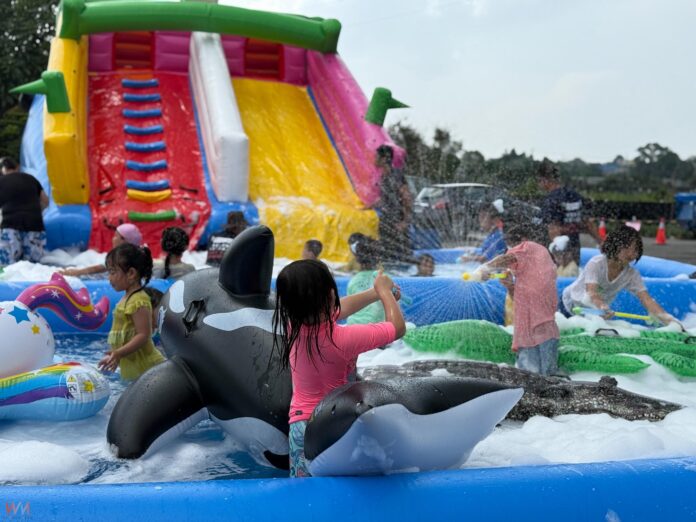 wm20250927205035276929