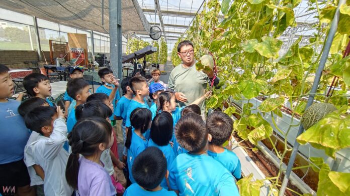 wm20250930213007057376