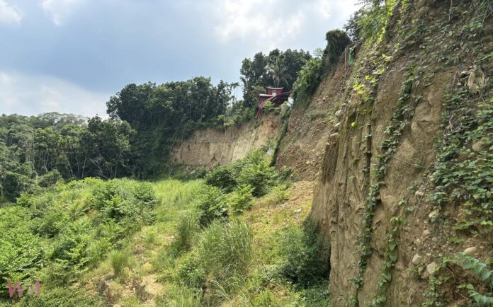 wm20251018133707517126