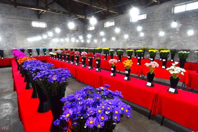 wm20251018214900142135