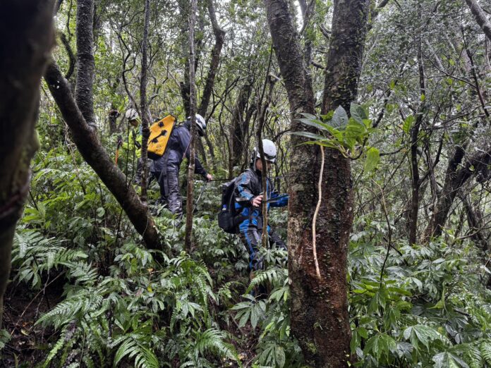 wm20251025101648443556