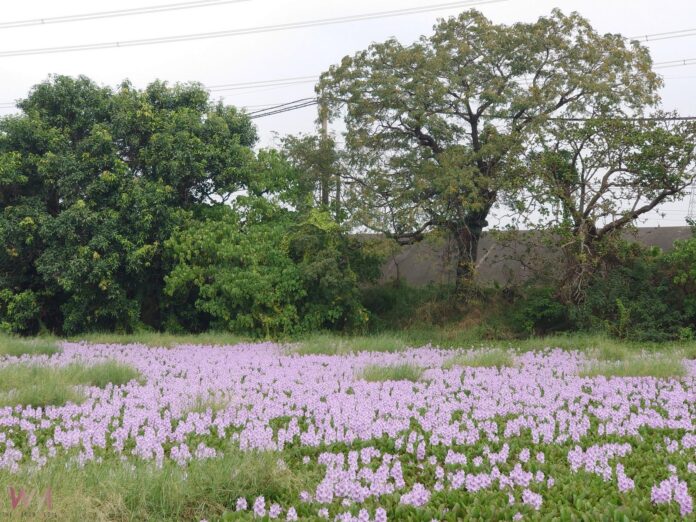 wm20251102181618808479