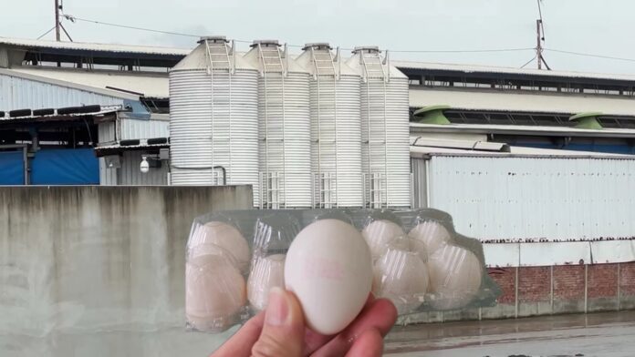 wm20251112201238087145