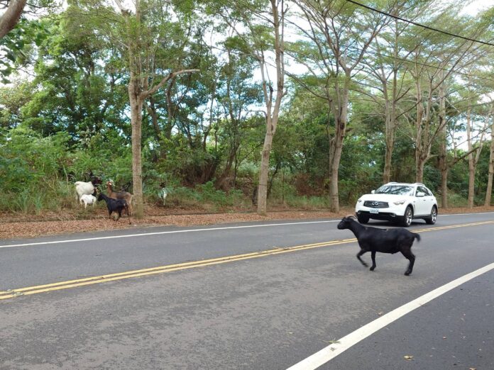 wm20251113194400082969