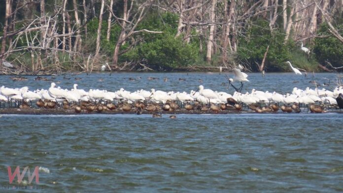 wm20251113200432966908