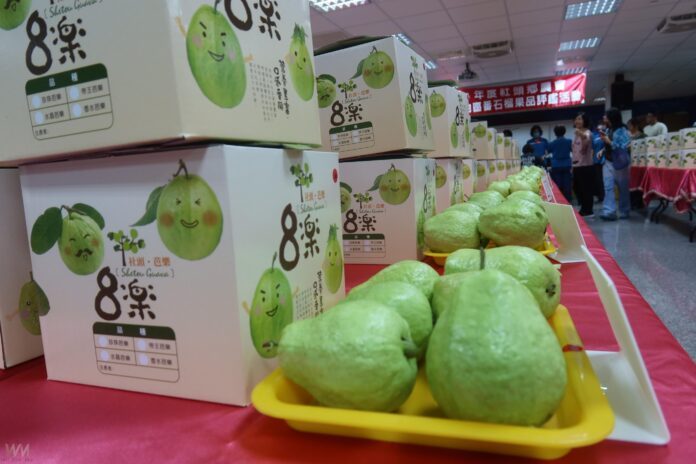 wm20251114210302585753