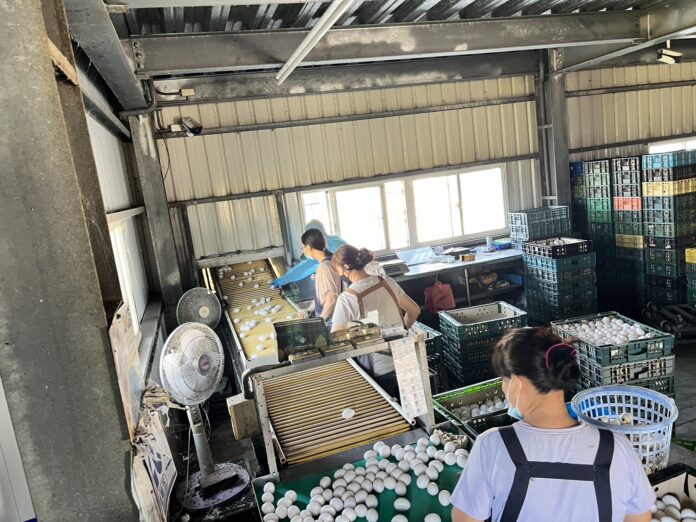 wm20251117210526658425