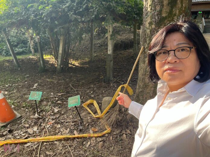 wm20251125155007812437