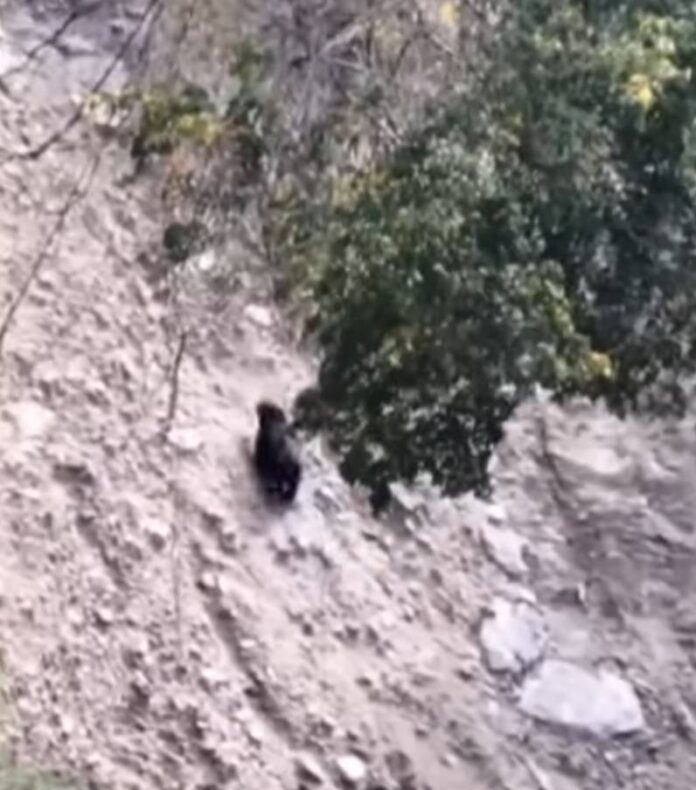 wm20251206142020639850