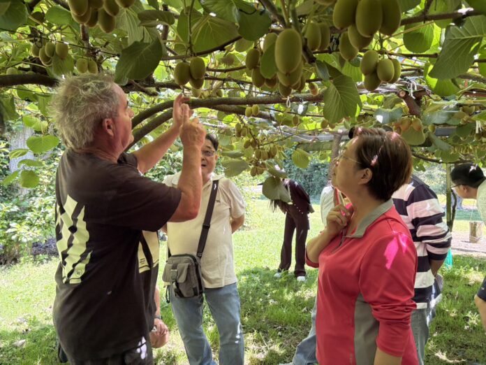 wm20251208202553098240