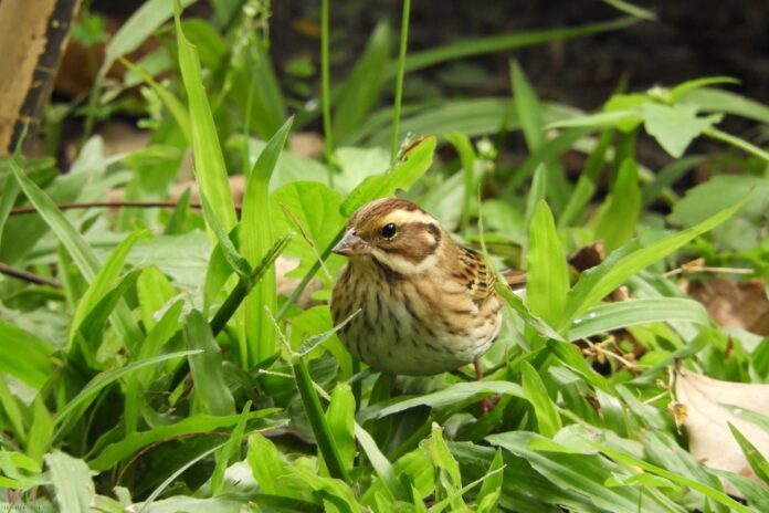 wm20251210174224842067