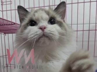 wm20251212184235885248