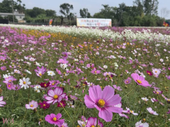 wm20251213135333776030