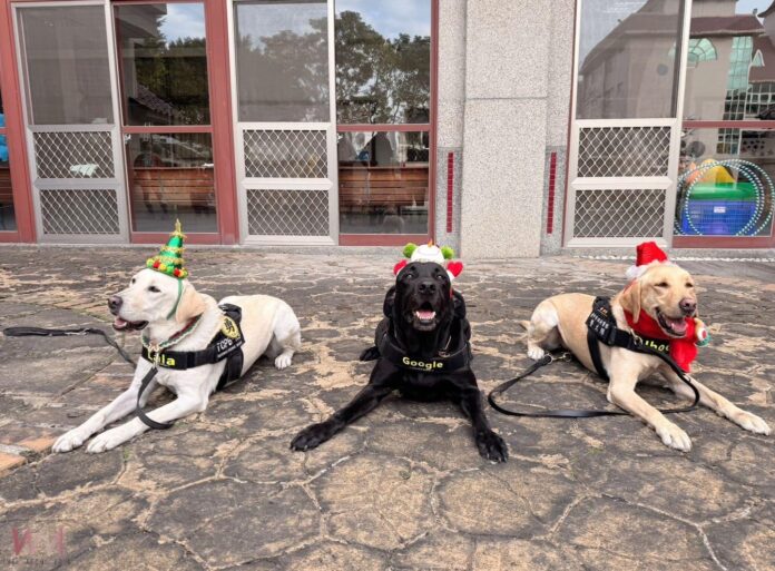 wm20251214183152714174