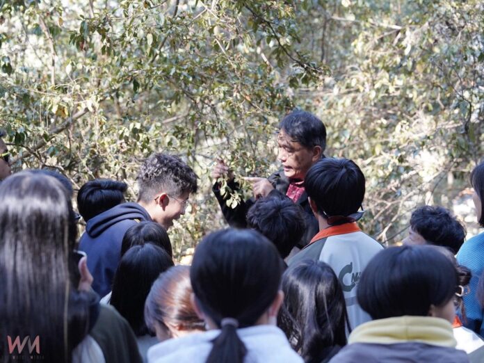 wm20251216191101878176