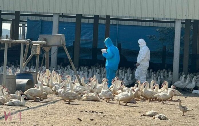 wm20251216202446602951