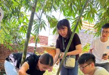 返鄉青年煞猛拚 採梨仔筍勇闖五寮尖 新北客庄創生趣 圖/新北市政府提供