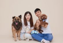 在動物之家遇見你 志工喜結良緣 圖/新北市政府提供