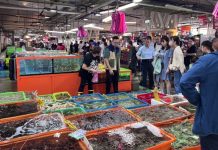 北海岸萬里蟹踩點 幸福雙心公園尋小確幸 北海岸萬里蟹踩點 幸福雙心公園尋小確幸