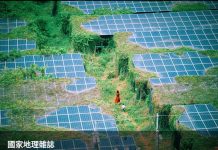 國際攝影賽作品見「綠藤爬上荒廢光電板」 挨譏「台灣最自豪的風景」 國際攝影賽作品見「綠藤爬上荒廢光電板」 挨譏「台灣最自豪的風景」