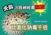 夭壽河豚神經毒無解 比氰化鈉毒千倍 夭壽河豚神經毒無解 比氰化鈉毒千倍