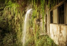 初四轉晴適合走春 新北三大走春景點美到不行