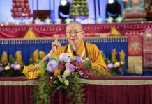 藥師佛文化節千僧齊修行 11月4日板樹體育館供燈祈福 藥師佛文化節千僧齊修行 11月4日板樹體育館供燈祈福