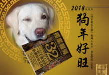 狗來富靠這波!初五迎財神全攻略!