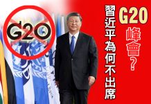 習近平為何不出席G20峰會? 習近平為何不出席G20峰會?