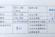 許可證才能認養寵物 動保處教您辨識非法買賣 許可證才能認養寵物 動保處教您辨識非法買賣