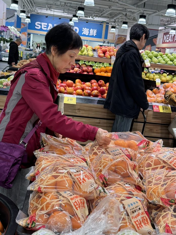 農產外銷加拿大北美市場 台中71公噸柑橘上架
