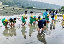 農耕造景結合食農教育 「台中龍賀」下田插秧 農耕造景結合食農教育 「台中龍賀」下田插秧