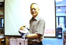 令人痛心! 鄒嵩棣不忍154隻貓咪已被安樂死