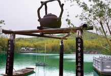 老陽羨的真滋味