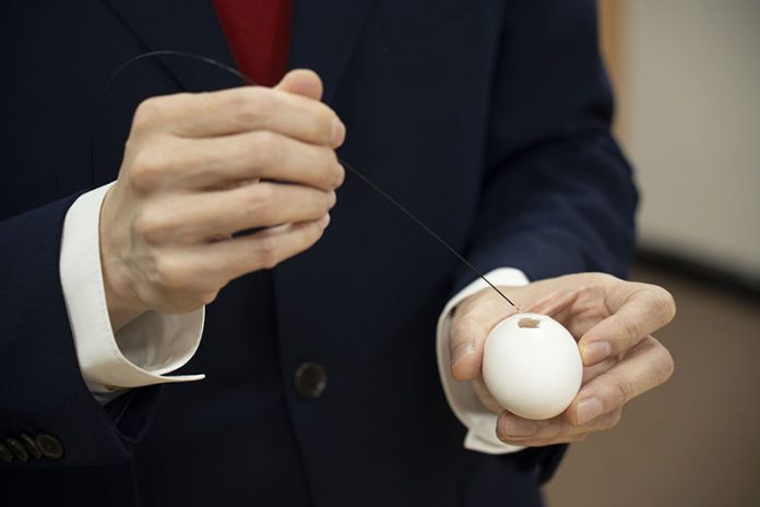 雙和醫院耳鼻喉科賴盈達醫師透過胚胎蛋圖/模擬聲帶精準雷射手術，可針對病灶進行有效及準確處理 (衛生福利部雙和醫院 提供)