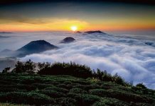 鬆綁生活禁令 雲林推地方活動